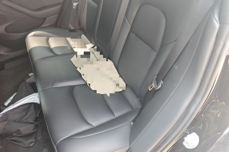 2021 #14 2021 car image #14