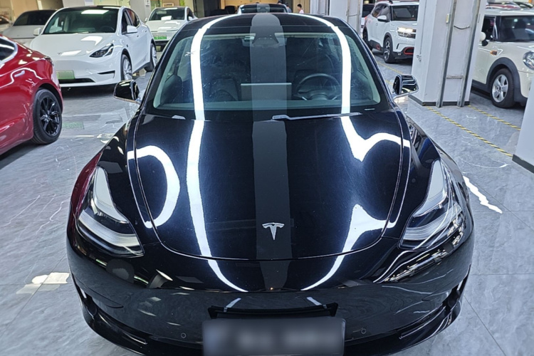 Tesla Model 3 2020 #3 Tesla Model 3 2020 car image #3