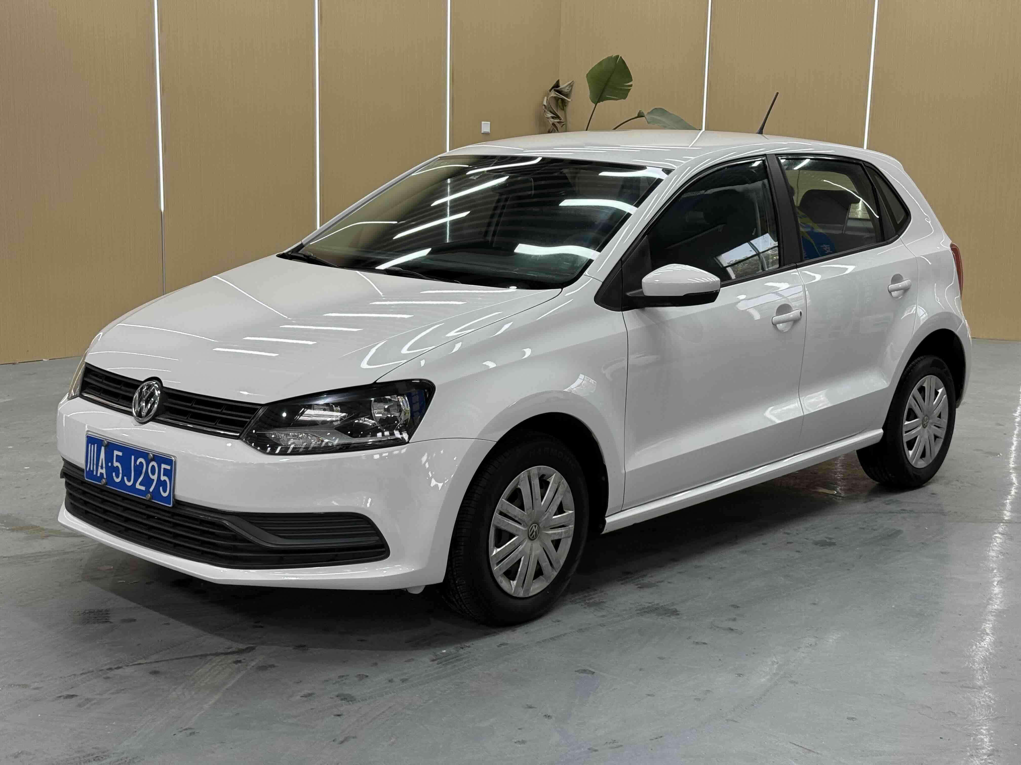 Volkswagen Polo 2016 Volkswagen Polo 2016 car image