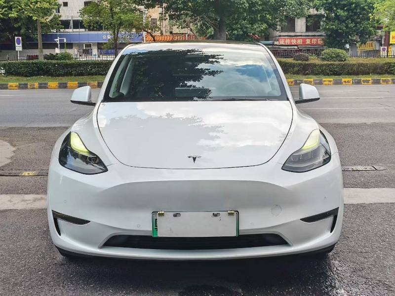 Tesla Model Y 2021 #2 Tesla Model Y 2021 car image #2
