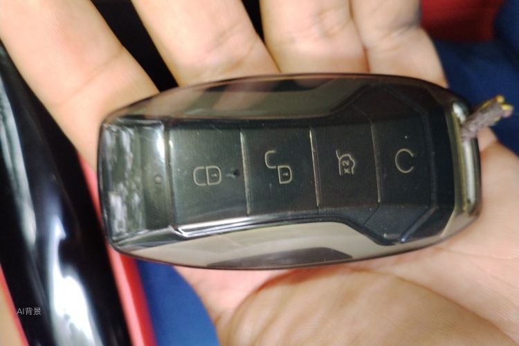 BYD Han 2020 car image #10