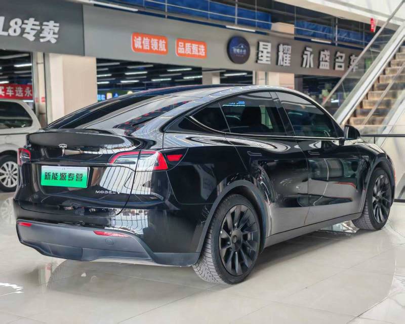 Tesla Model Y 2023 #7 Tesla Model Y 2023 car image #7