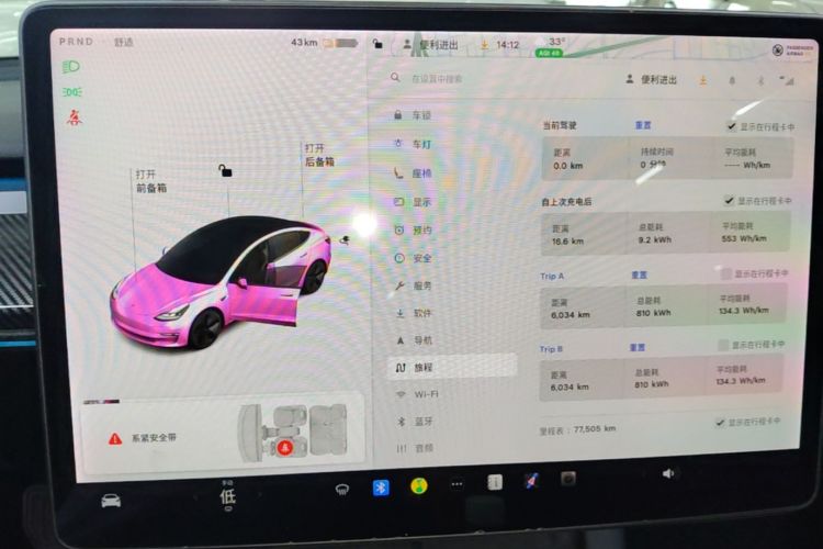 Tesla Model 3 2021 #13 Tesla Model 3 2021 car image #13