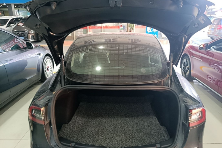 Tesla Model 3 2021 #19 Tesla Model 3 2021 car image #19