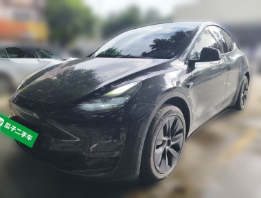 Tesla Model Y 2023 Tesla Model Y 2023 car image