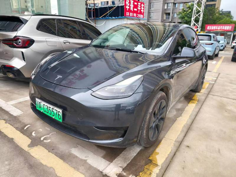 Tesla Model Y 2024 car image 