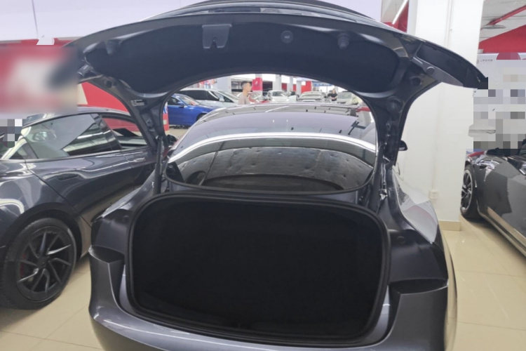Tesla Model 3 2025 #19 Tesla Model 3 2025 immagine di auto #19