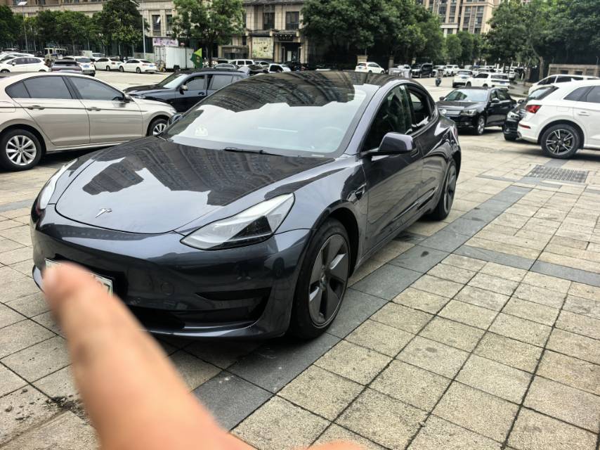 Tesla Model 3 2022 Tesla Model 3 2022 car image