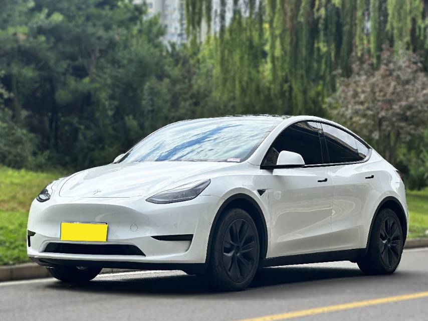 Tesla Model Y 2024 car image 