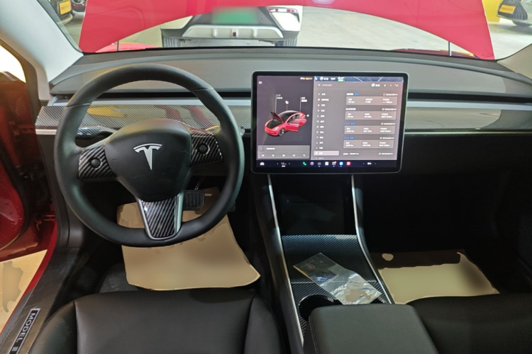 Tesla Model 3 2020 immagine di auto #10