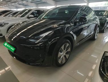Tesla Model Y 2022 car image 