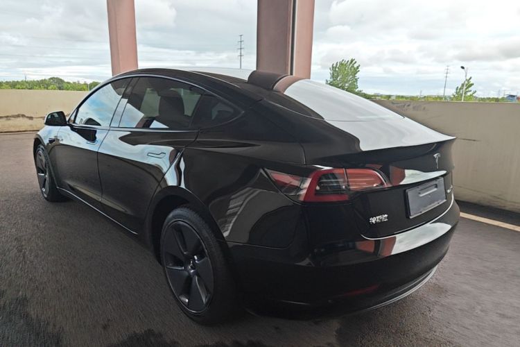 Tesla Model 3 2021 #5 Tesla Model 3 2021 car image #5