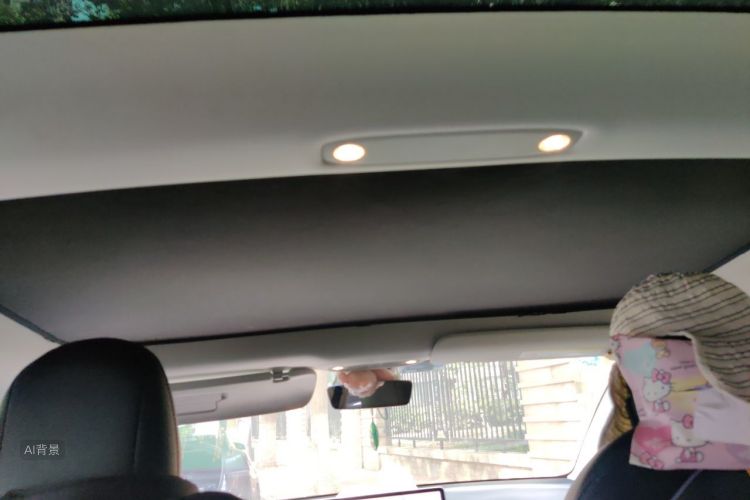 Tesla Model 3 2020 immagine di auto #20