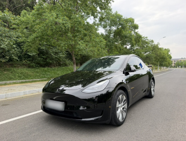 Tesla Model Y 2022 Tesla Model Y 2022 car image