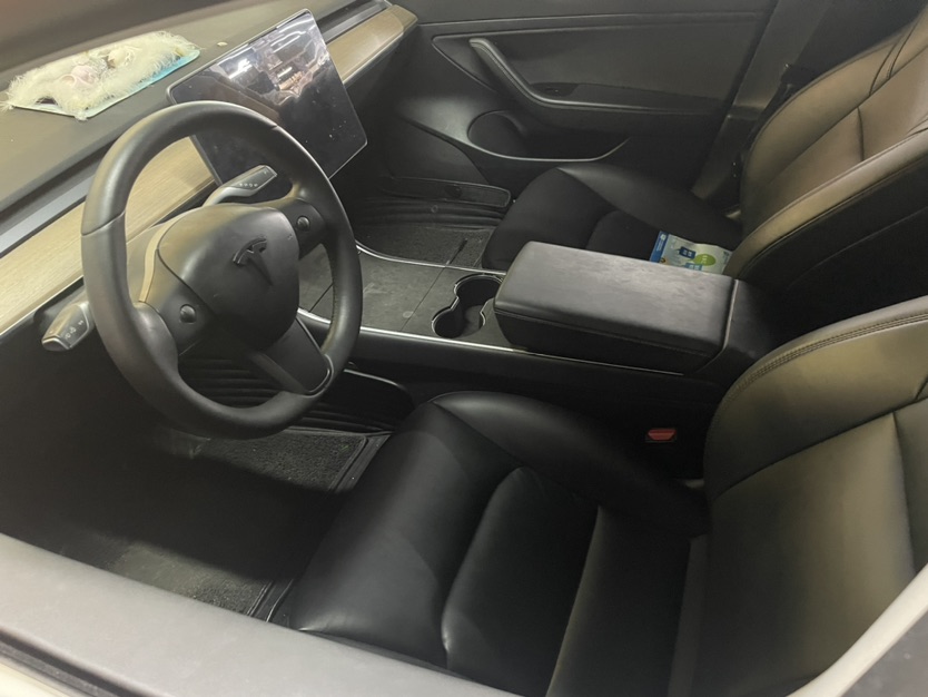 Tesla Model 3 2020 #3 Tesla Model 3 2020 car image #3