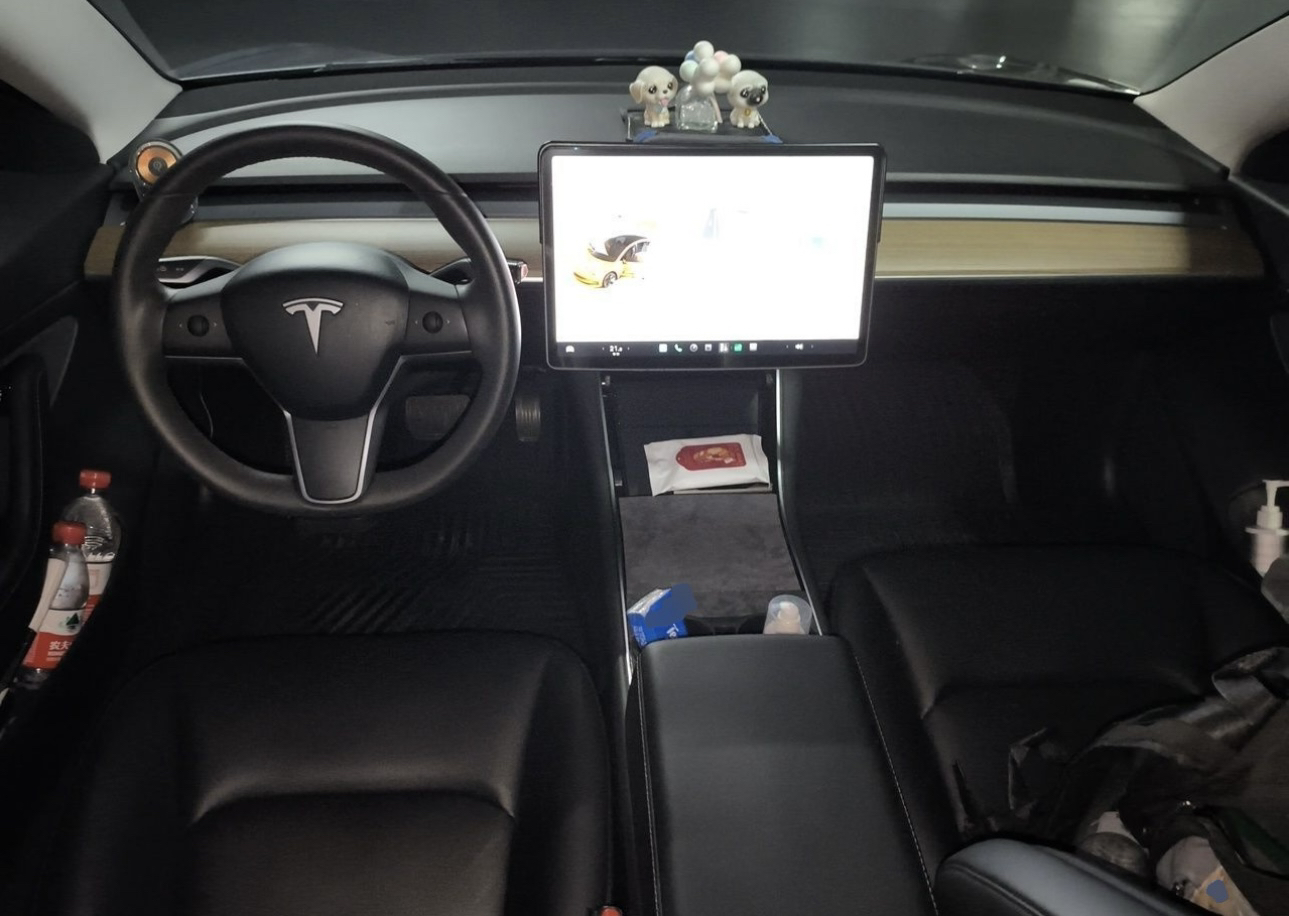 Tesla Model 3 2020 immagine di auto #2