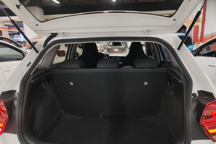 Volkswagen Polo 2021 car image #19