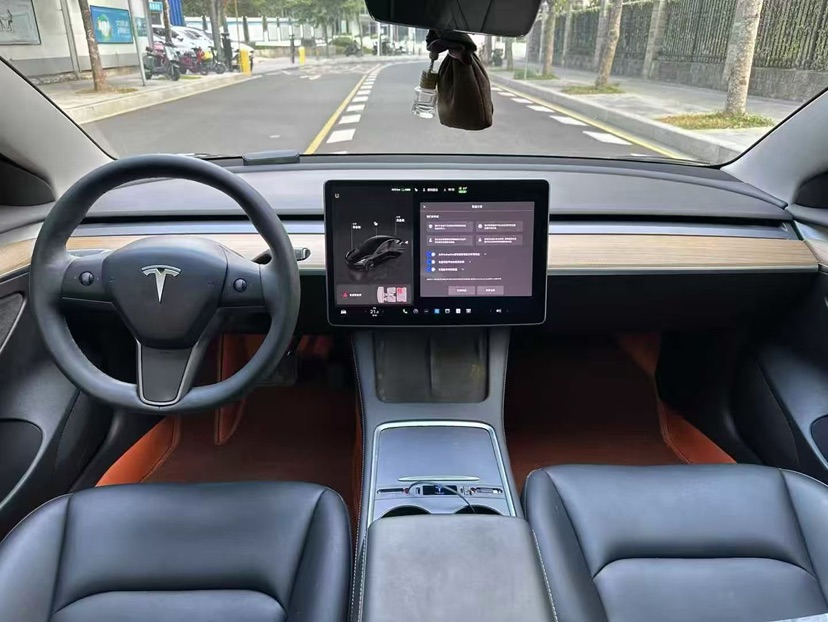 Tesla Model 3 2021 car image #9