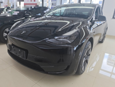 Tesla Model Y 2023 Tesla Model Y 2023 car image