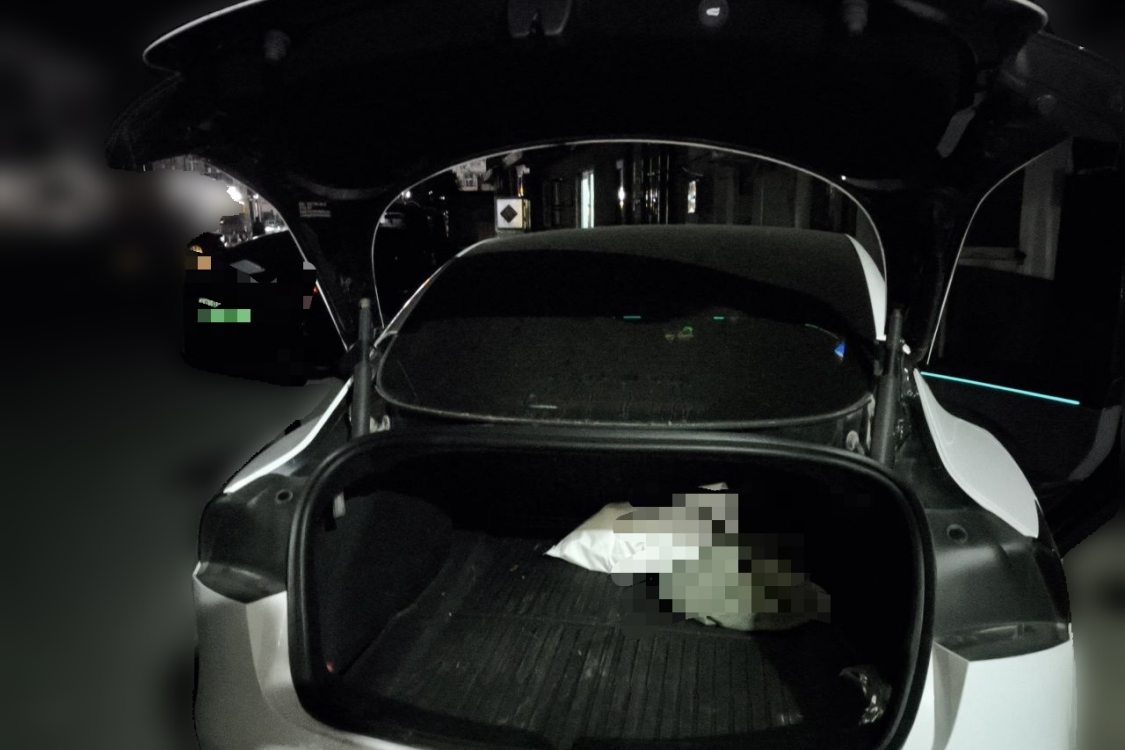 Tesla Model 3 2025 #8 Tesla Model 3 2025 car image #8