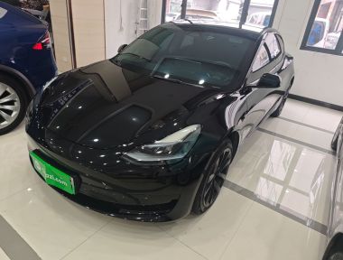 Tesla Model 3 2023 Tesla Model 3 2023 car image