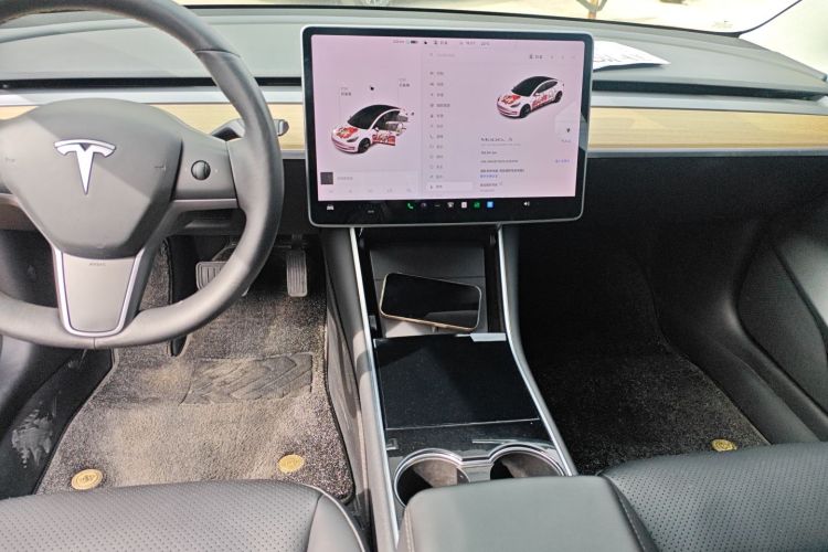 Tesla Model 3 2020 car image #13