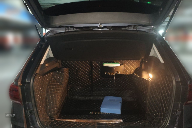 Volkswagen Tharu 2019 car image #21