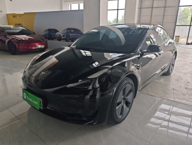 Tesla Model 3 2022 car image 