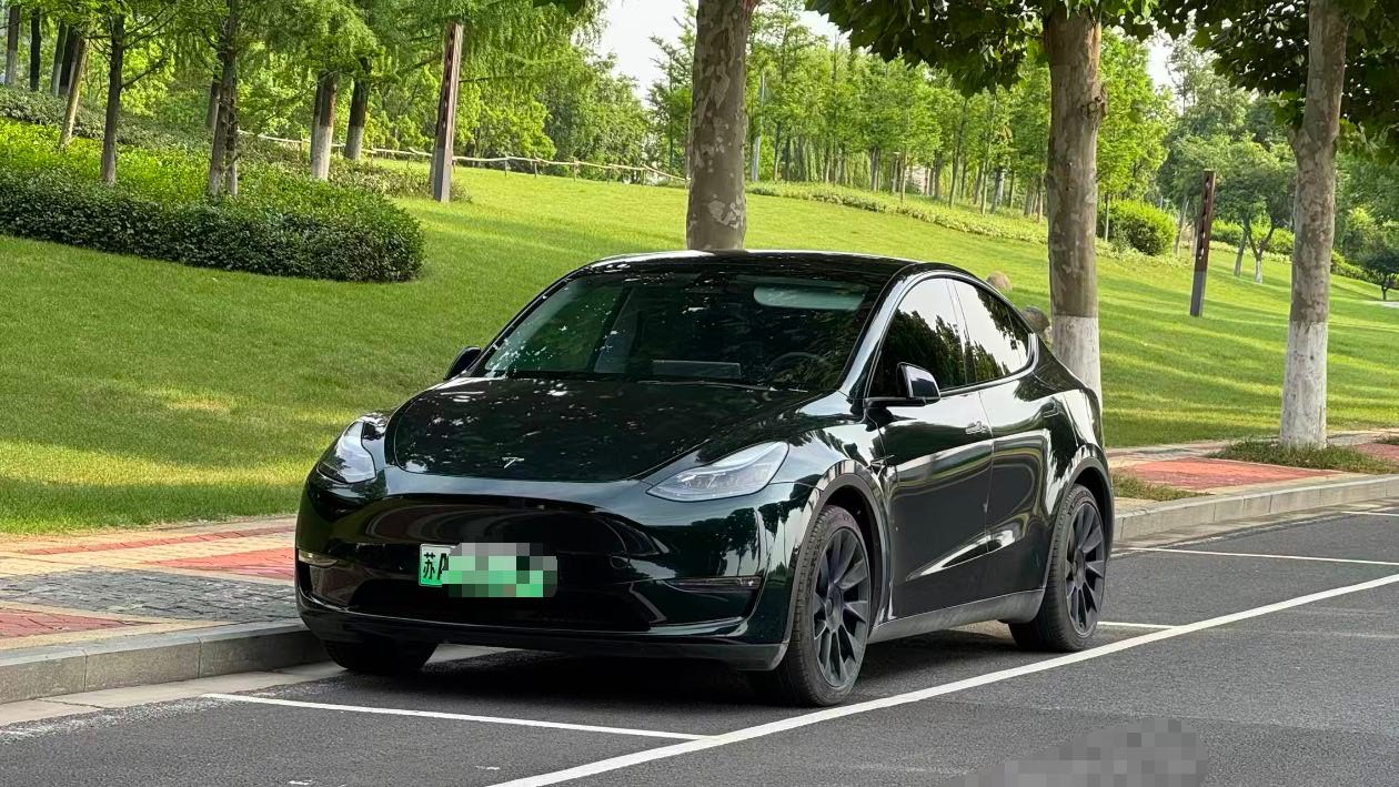 Tesla Model Y 2021 Tesla Model Y 2021 car image