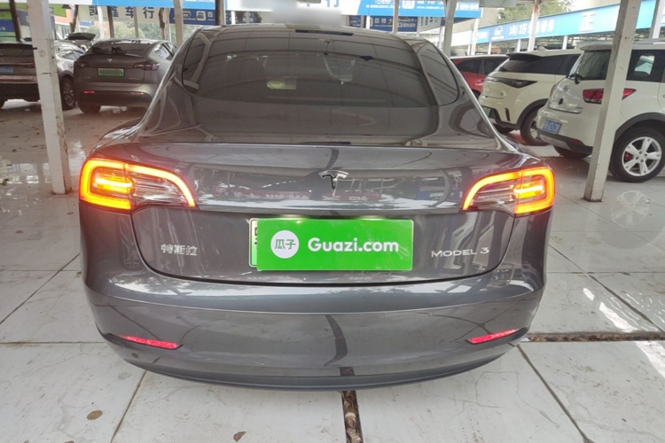 Tesla Model 3 2021 car image #6