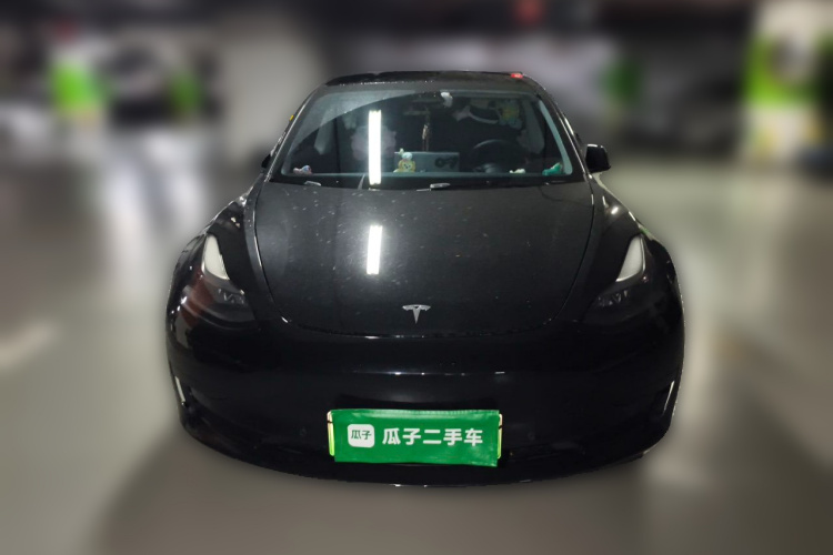 Tesla Model 3 2021 #3 Tesla Model 3 2021 car image #3