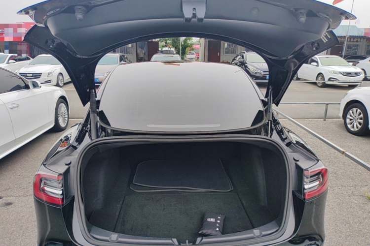 Tesla Model 3 2021 #19 Tesla Model 3 2021 car image #19