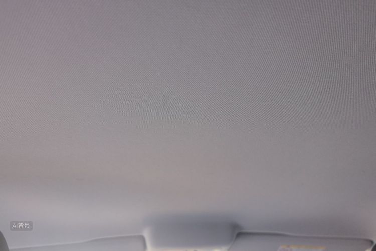 Volkswagen Polo 2019 car image #20