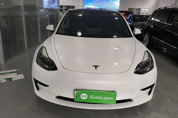Tesla Model 3 2021 #3 Tesla Model 3 2021 car image #3