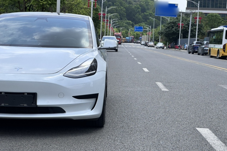 Tesla Model 3 2020 car image #3