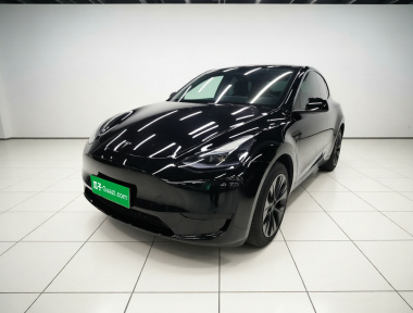 Tesla Model Y 2022 car image 