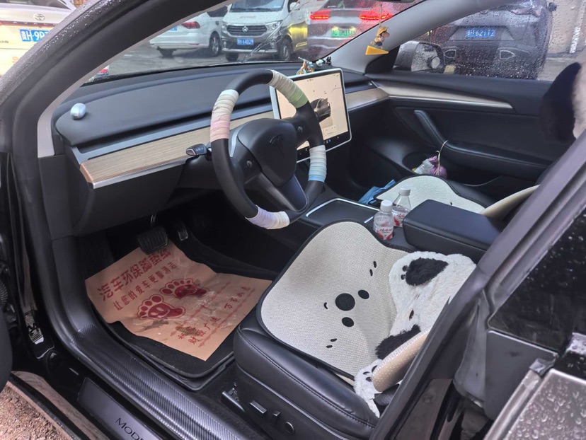 Tesla Model 3 2023 car image #6