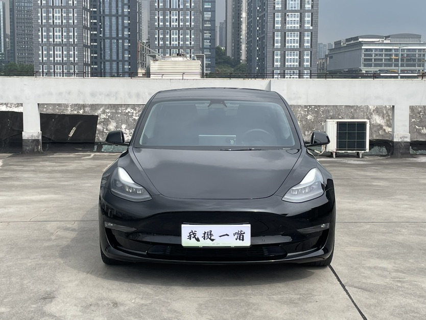 Tesla Model 3 2021 #2 Tesla Model 3 2021 car image #2