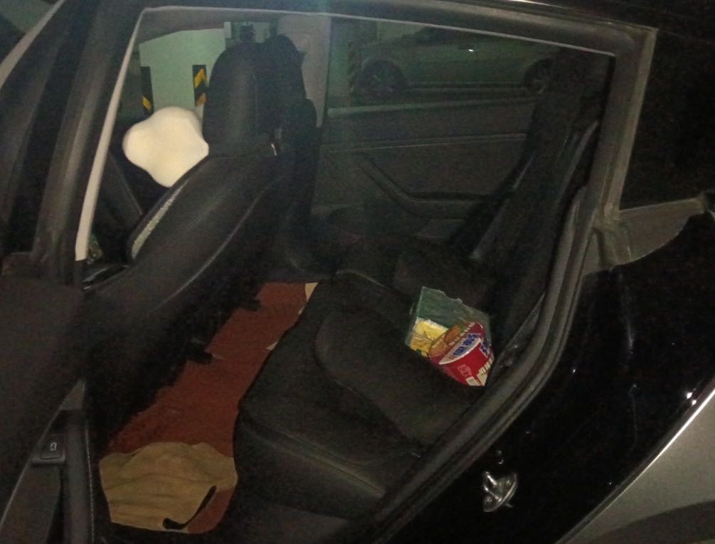 Tesla Model 3 2022 car image #4