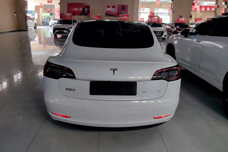 Tesla Model 3 2021 car image #4