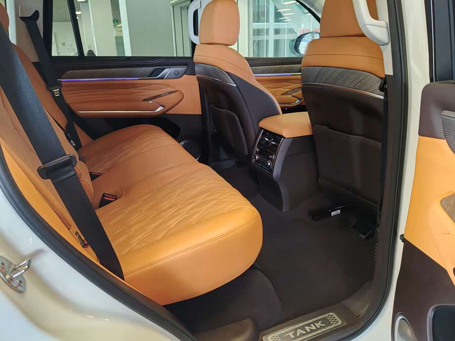 Tank 500 New Energy 2024 immagine di auto #34