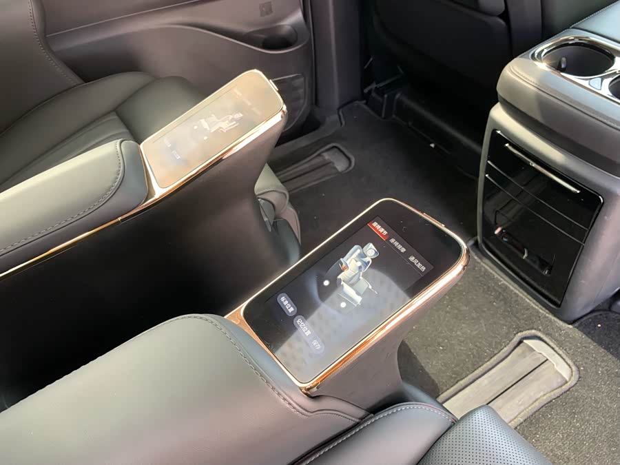 GAC Trumpchi E9 2024 car image #34