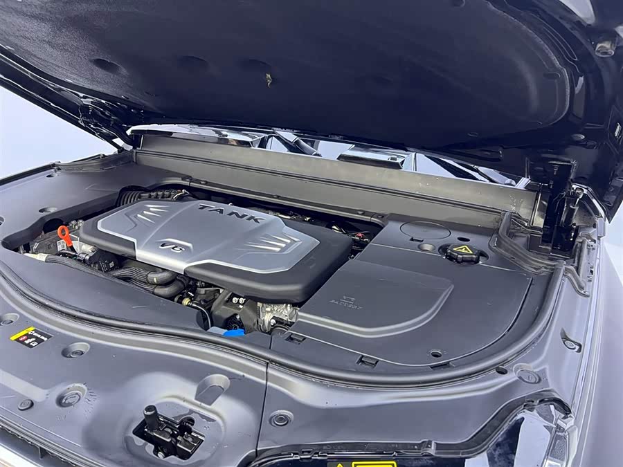 Tank 700 New Energy 2024 #34 Tank 700 New Energy 2024 imagen de coche #34