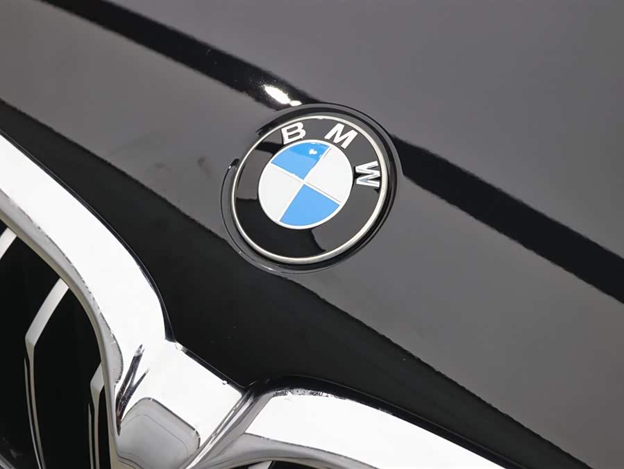 BMW 5 Series New Energy 2021 car image #34