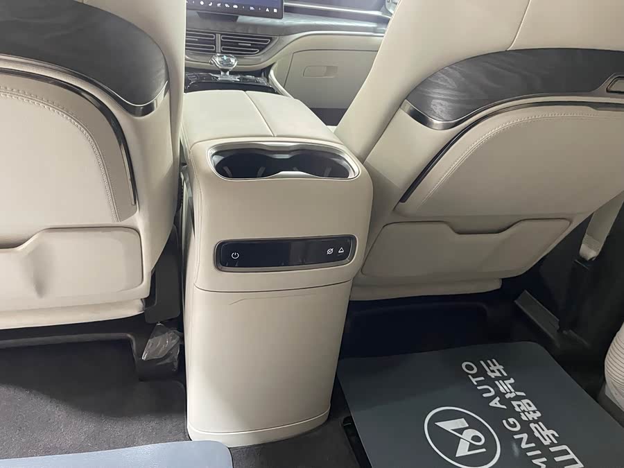 Denza D9 2025 imagen de coche #34