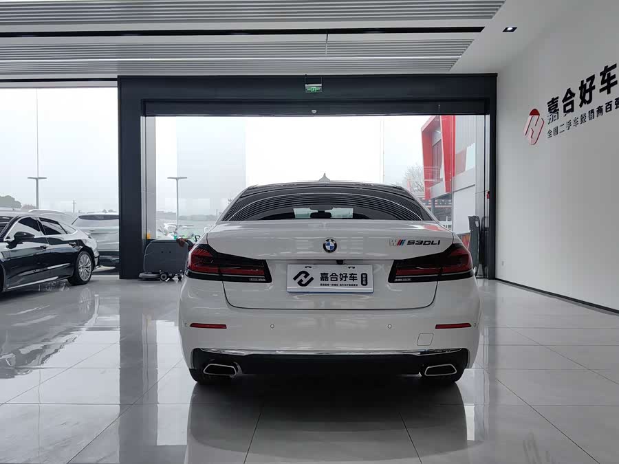 BMW 5 Series 2021 car image #34