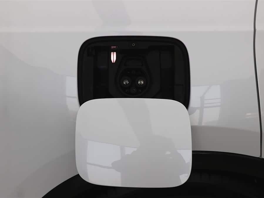 HongQi E-HS9 2023 изображение автомобиля #34