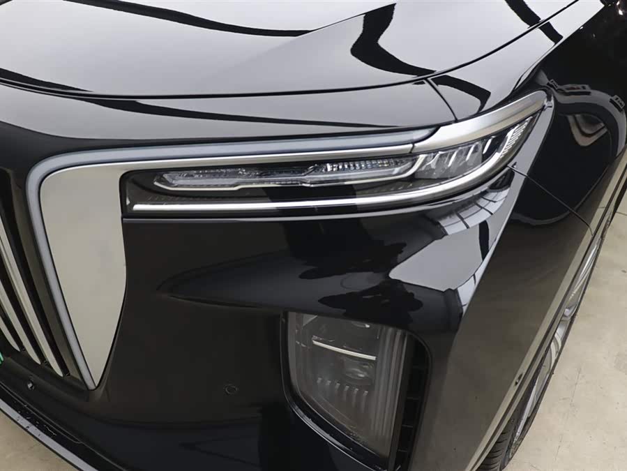 HongQi E-HS9 2023 immagine di auto #34
