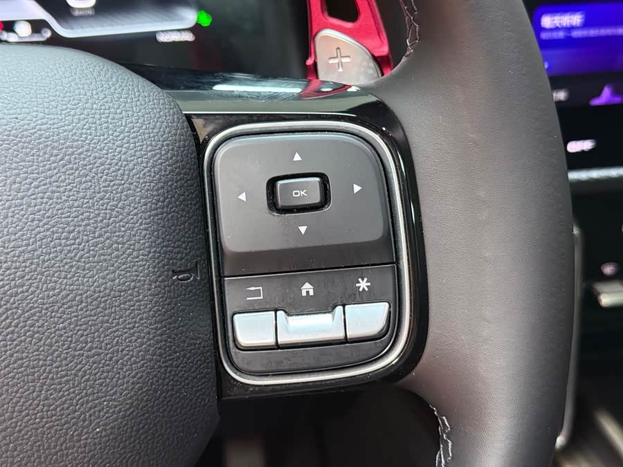 Haval X Dog / Dargo 2024 immagine di auto #34