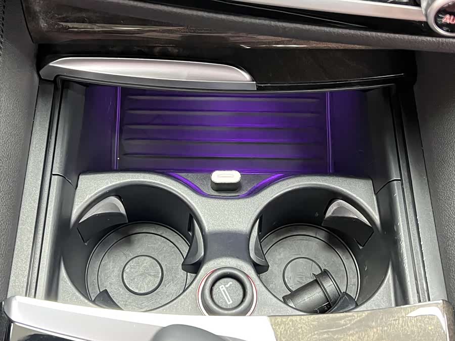 BMW 5 Series 2019 car image #34